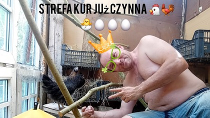 Strefa kur aktywna