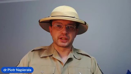 dr Piotr Napierała