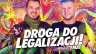 CO DA LEGAL? POSELSKIE USTAWY KONOPNE CZY INICJATYWA OBYWATELSKA WK? | Andrzej Dołecki #MamTemat 15