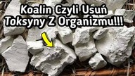 1546.  Koalin.  Czyli Usuń Toksyny Z Organizmu!!!
