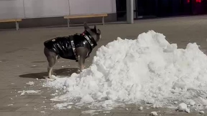 Co to za biały puch!?