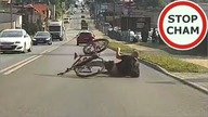 Wywrotka rowerzysty w Rybniku - szybka karma #1561 Wasze Filmy