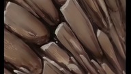 E08 W dole Remastered ENG