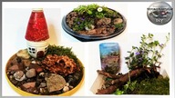 3 Pomysły na letnie poidełka dla owadów - Pomysły Plastyczne DiY