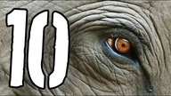 10 zwierząt, które wkrótce mogą wyginąć [TOPOWA DYCHA]