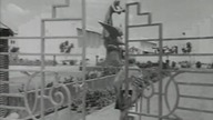 Papierowe kwiaty (1959) - Guru Dutt - napisy pl - translator