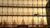 Smart Bird - Mechaniczny ptak