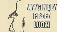 10 ZWIERZĄT, KTÓRE WYGINĘŁY PRZEZ LUDZI