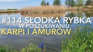 #114 Słodka Rybka - komercyjne łowisko