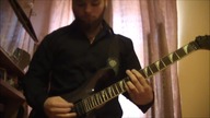 Blink 182 - Whats My Age Again (guitar cover)