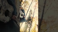 Sacred Raven - Ive overdosed on You (pełny numer - link w opisie) #shorts