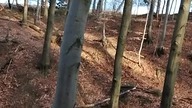 16. Trudne podejście - Wujciofaja - 02 - 2025
