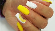 Sunflower with Sunflower Professional