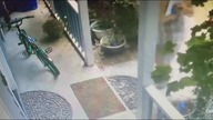 LiveLeak - US POSTAL SERVICE (in action)