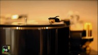 KULT - Marność [OFFICIAL AUDIO]
