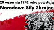 Kwaśniewski WRACA? Co KNUJE opozycja? Sośnierz: Desperacka próba przejęcia władzy