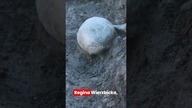 SZCZĄTKI CZAROWNIC W BOCHNI  #bones #witch #paranormal