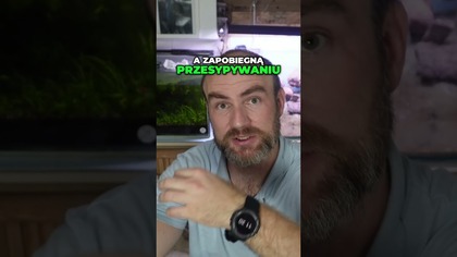 Po co gąbka do aranżacji?