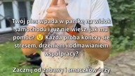 Zmień strach w radość: jak pomóc przestraszonemu psu!  
#Zwierzęta #Psy #StrachPsa