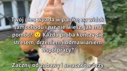 Zmień strach w radość: jak pomóc przestraszonemu psu!   
#Zwierzęta #Psy #StrachPsa
