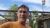 Czosnek niedźwiedzi dla kur i kanarków * zakwitł pierwszy clematis