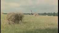 Zerwane Cumy 1979 pl