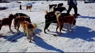 Miesięczna podr&oacute;ż po Grenlandii