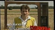 No Bayer - Płoty i ploteczki