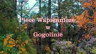 Piece Wapiennicze w Gogolinie