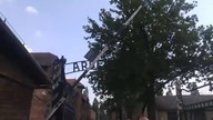 Bez flag na drzewcach wpuszczono nas pod ścianę straceń w KL Auschwitz