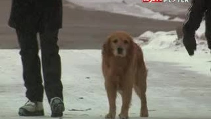 Sue Thomas Słyszące oczy FBI - S01E16 - Lektor PL