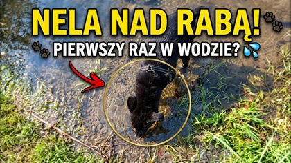NELA PIERWSZY RAZ NAD RABĄ!  | Pieskie przygody na wycieczce 