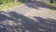 Zaraz ich dogonimy...