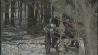 Ziuta i Antoś - Cudowne święta