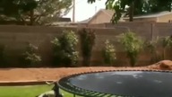 Drzewo i trampolina