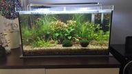 Moje akwarium 54L
