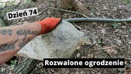 Budowa agroturystyki.  Vlog 14