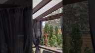 Śnieżna Wiosna w Ogrodzie.  
