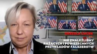 Szefowa misji OBWE w USA komentuje doniesienia o fałszerstwach