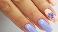 Blueberry nails art Tutorial step by step / Sunflower Professional
#blueberrynails #violetnails