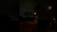 haunted trees