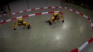 Gymkhana micro