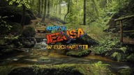 Cuda za wstawiennictwem Ojca Pio