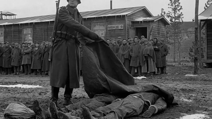 Stalag.  17.  1953.  Lektor.pl .  Dramat Wojenny