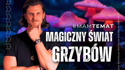  Z kodem mesto10 masz 10% rabatu https://bit.ly/soplowkajezowata na soplówkę jeżowatą oraz inne grzyby funkcjonalne i adaptogeny [współpraca reklamowa]   Wejdź na http://haj.alt.pl i kup swój egzemplarz mojej bestsellerowej książki szybko i bezpiecznie!  [autopromocja]   

Moim gościem jest Kuba Jezierski, który jest ekspertem od grzybów i tworzy edukacyjne treści na Instagramie, gdzie opowiada o fascynującym królestwie grzybów i ich właściwościach. Polecam obserwować https://www.instagram.com/antril 

Czym są grzyby? Co to za dziwny twór, że ani rośliny, ani zwierzęta? Dlaczego Polacy to mykofile? Skąd się to wzięło? Czym są grzyby funkcjonalne? Jakie mają właściwości? Jakie mamy badania naukowe na ten temat? Jakie są znane i udokumentowane badaniami naukowymi efekty działania grzybów na mózg i psychikę? Czy muchomor czerwony jest toksyczny? Jakie są najbardziej zaskakujące, ciekawe czy wyjątkowe grzyby? Jakie są najczęstsze mity lub błędne przekonania na temat grzybów? Jak rozpoznać grzyby jadalne od trujących? Czy są jakieś szczególne zasady lub wskazówki?

 Wsparcie od widzów kanału jest szczególnie istotne, gdyż pozwala mi funkcjonować i dalej tworzyć niezależne treści. Bardzo serdecznie dziękuję wszystkim wspierającym mnie na Patronite i YouTube. Dołącz do tego grona i pomóż mi dalej tworzyć! 
 https://patronite.pl/mestoslaw 
 http://bit.ly/mestoslawYT 

Film powstał w celach edukacyjnych i informacyjnych. Celem filmu jest minimalizacja szkód, jakie mogą wynikać z użytkowania substancji, przeciwdziałanie uzależnieniom oraz wspieranie racjonalnej polityki opartej na badaniach naukowych, a nie uprzedzeniach.  

Mestosław - twórca i aktywista społeczny. Absolwent Europeistyki oraz Studium Pedagogicznego na Uniwersytecie Warszawskim. Twórca dwóch edukacyjnych kanałów na YouTube, które łącznie mają 331 000 subskrybentów. Współautor bestsellerowej książki Haj, czyli jak nie szkodzić sobie i innym. Zdobywca głównej nagrody i tytułu Twórcy Roku 2024 Influencers LIVE Awards. Członek organizacji pozarządowych redukujących szkody używania substancji. Współzałożyciel i członek zarządu Polskiego Towarzystwa Psychodelicznego. 

 Czytaj newsy na https://mestoslaw.pl
 Obserwuj na IG https://instagram.com/mestoslaw
 Obserwuj na TT https://www.tiktok.com/@mestoslaw
 Polub na FB https://facebook.com/mestoslaw
 Subskrybuj mój drugi kanał https://www.youtube.com/wiemcocpiem

Intro:
Grafika: Hubert https://www.facebook.com/junkyycartoons 
Animacja logotypu: Kacper Marczukiewicz 
Muzyka: Math Klee https://www.facebook.com/Math-Klee-Music-392090208327470
 
Realizacja nagrania i montaż: Jan Szymański 
Miniaturka: Rafael Sobczyk de Sá

#MamTemat #grzyby #Mestosław 

00:00 Wstęp
01:38 Królestwo grzybów 
05:11 Kraj mykofilów
09:02 Dlaczego grzyby?
16:36 Grzyby funkcjonalne
20:38 Neuroplastyczność
25:25 Początki psylo
28:12 Aspekty medyczne
35:55 Soplówka
43:05 Grzyb zombie 
51:49 Reishi
58:02 Grzybowa rewolucja
01:15:25 Muchomor 
01:18:43 Na co uważać? 
01:22:42 Grzybowe mity

Pozdro!
Mestosław