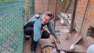 Karmienie kurczaków i najedzone kanarki * W Garden kuRaż 673