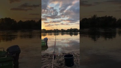 Najciekawsze momenty na żywo