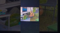 Znowu kura uciekła a Romek trze brzuchem - Jedziemy na ryby Polsat Play