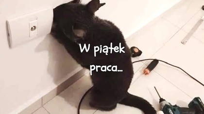 W piątek praca to...  