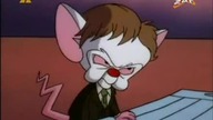 Pinky i M&oacute;zg S03E31 - Niebezpieczny intelekt